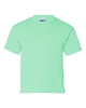 Picture of Gildan Ultra Cotton Youth T-Shirt 